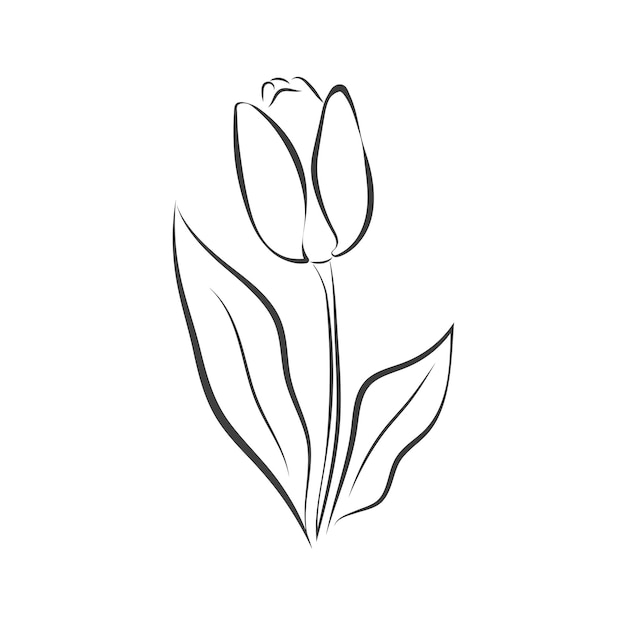 a drawing of a tulip with a black outline