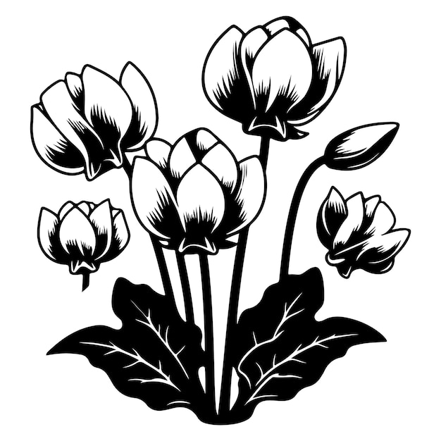 Vector a drawing of tulips with the words  tulips  on it