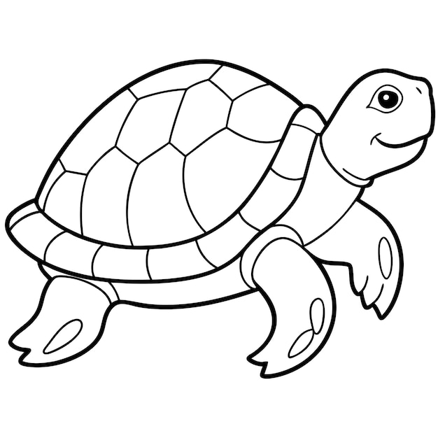 Vector a drawing of a turtle with a smile on it