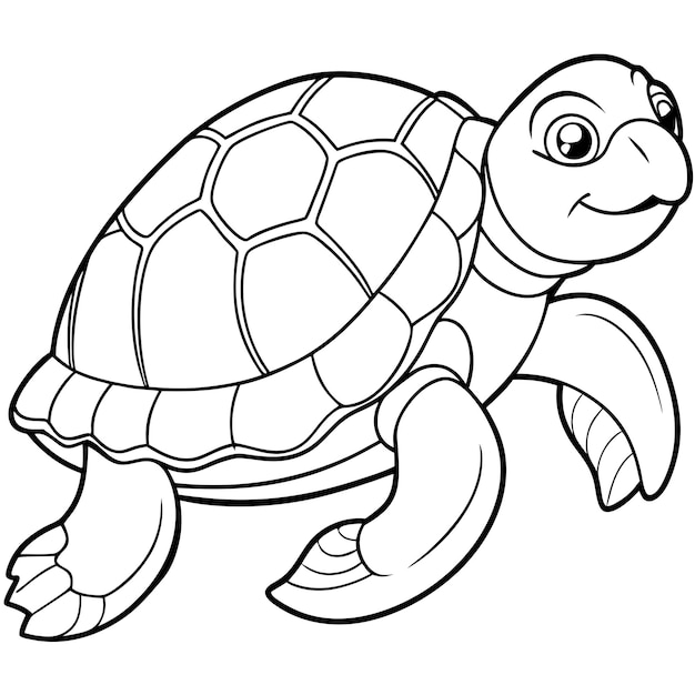 Vector a drawing of a turtle with a turtle on it