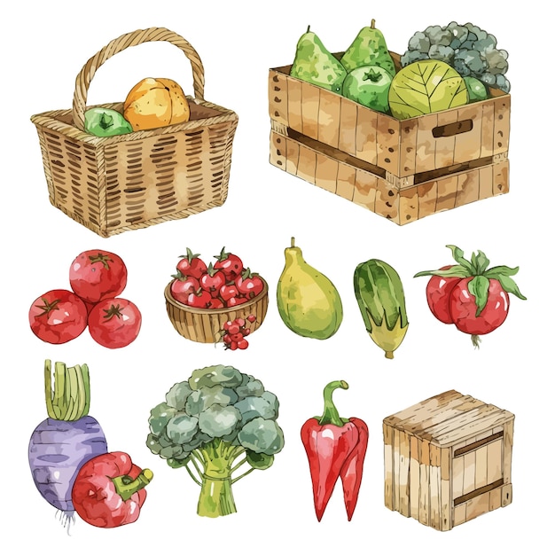 a drawing of vegetables including broccoli tomatoes and cucumber