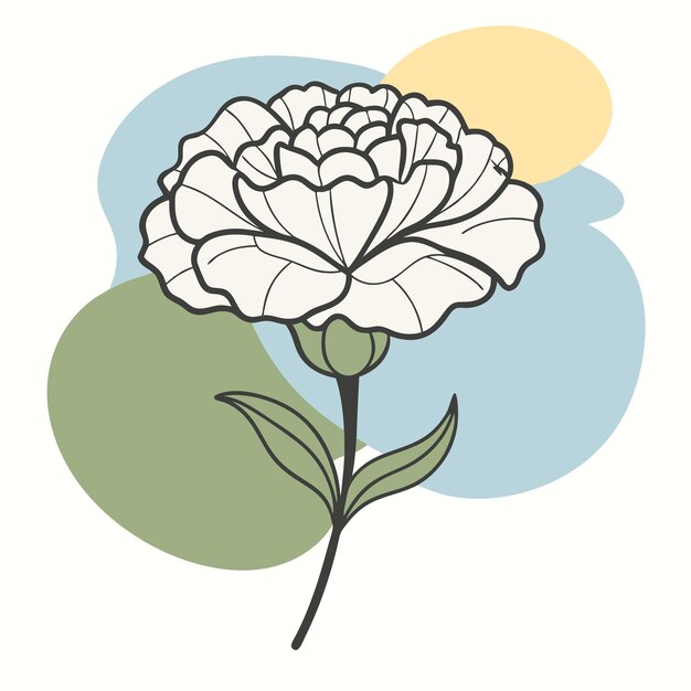 Vector a drawing of a white flower with the word quot peonies quot on it