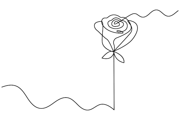 Vector a drawing of a white rose with a ribbon in the middle