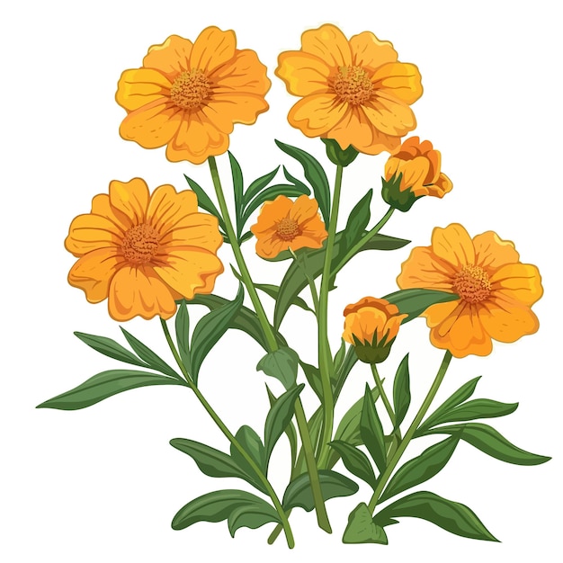 a drawing of yellow flowers with the words quot marigold quot on it