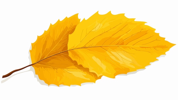 a drawing of a yellow leaf with the reflection of a yellow leaf on a white background