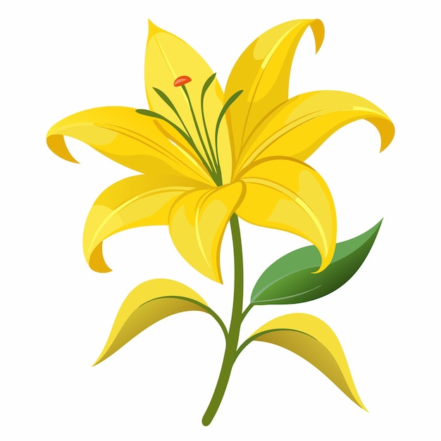 Vector a drawing of a yellow lily with a green stem