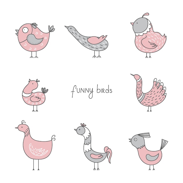 Drawn funny birds collection.