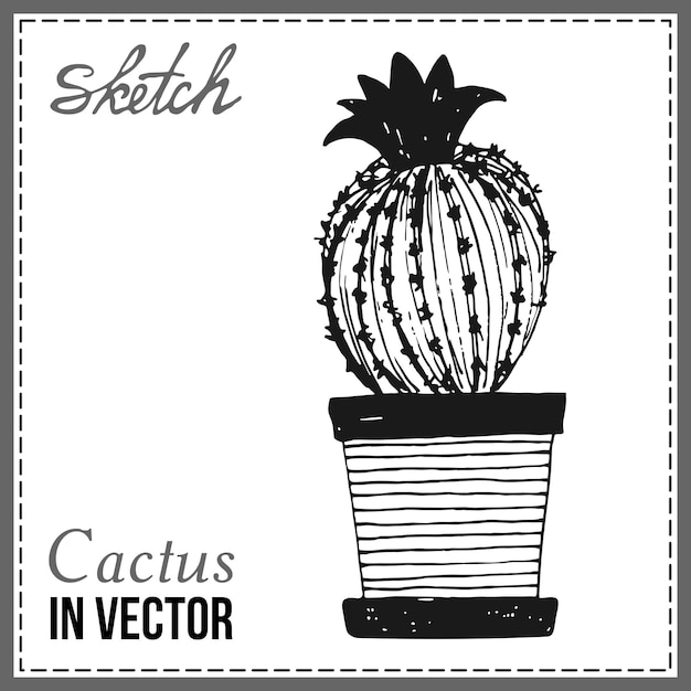 Vector drawn sketch of cactus in the vector