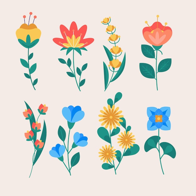 Drawn spring flower collection