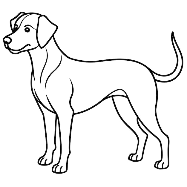 Drever dog stands icon vector