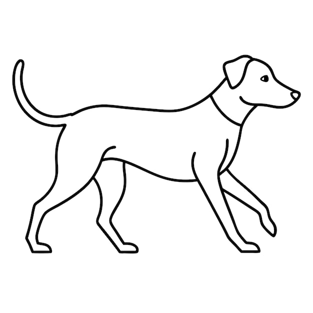 Drever dog walks icon vector