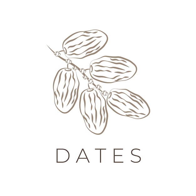 Dried Arabic Date Fruit Line Art Illustration Logo