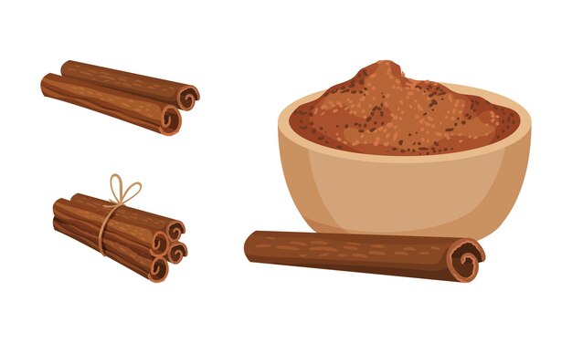 Vector dried cinnamon bark strips and bark powder in bowl vector set