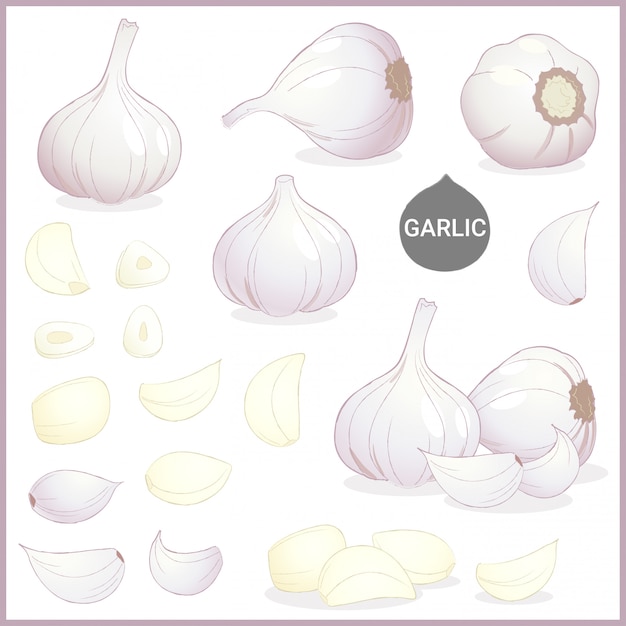 Dried garlic vegetable spice in various cuts and styles