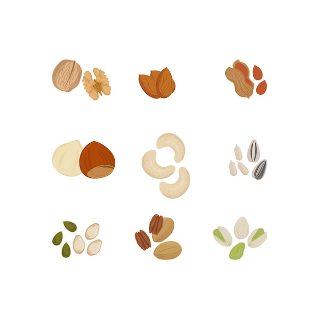 Dried nuts and seeds illustration logo