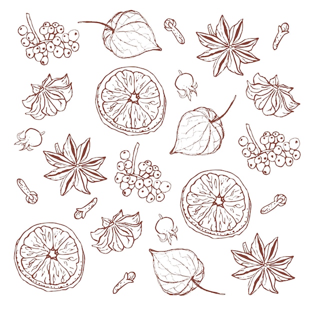 Dried orange badian and cloves pattern hand drawn style vector illustration