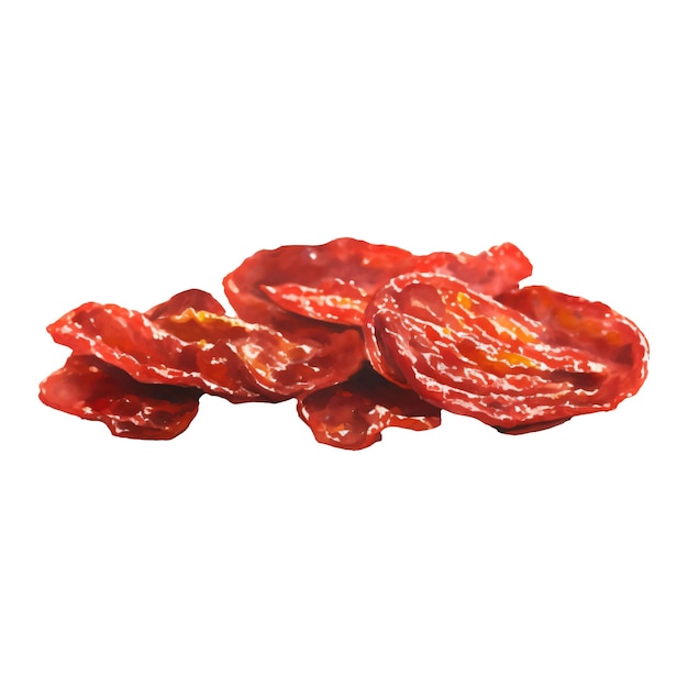 Dried Tomatoes Isolated Hand Drawn Painting Illustration