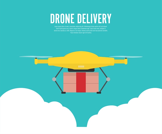 Drone delivery with the package.