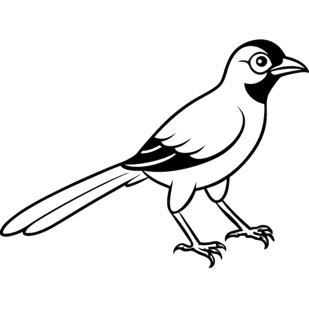 Drongo bird walks icon vector