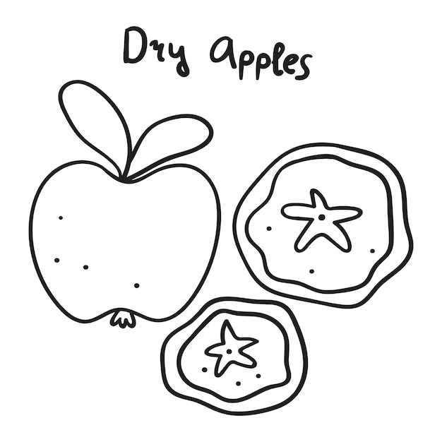 Dry apples. Outline illustration on white background.