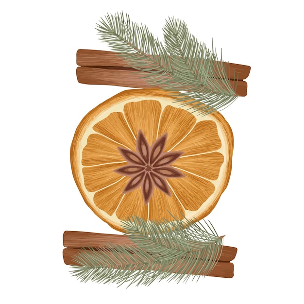 Dry orange with anise star and cinnamon, vector art