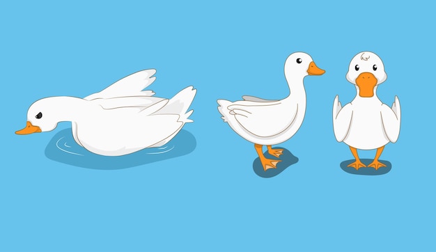 Duck in 3 action vector illustration