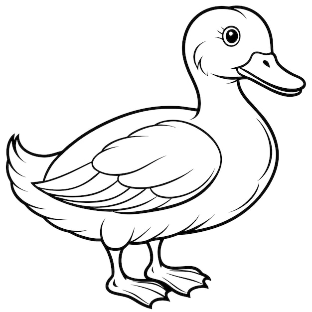 Duck Coloring book page vector art illustration line art 20