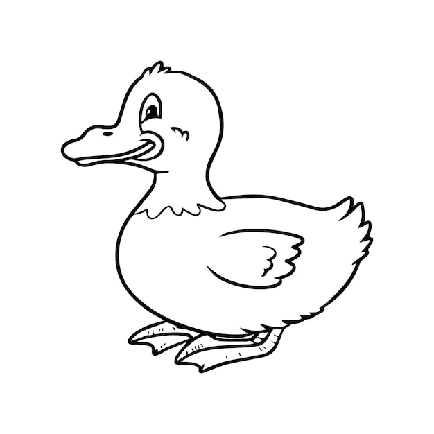 Duck coloring pages Duck outline vector for coloring book