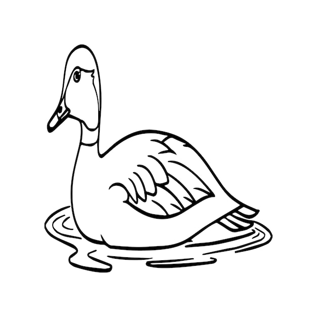 Duck coloring pages Duck outline vector for coloring book