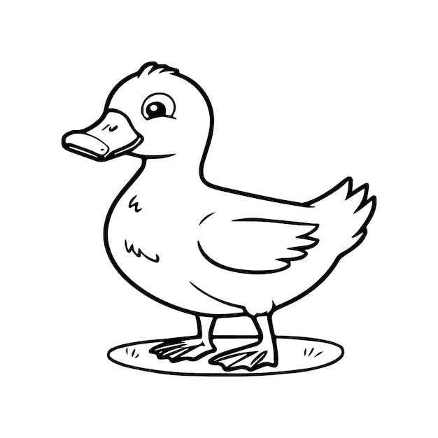 Duck coloring pages Duck outline vector for coloring book