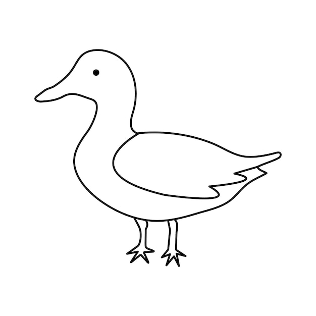 Duck in continuous line art drawing