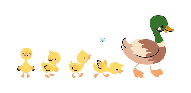 Vector duck and ducklings isolated concept cute duckling walk to mother funny family farm birds little babies and mom parenthood nowaday vector scene