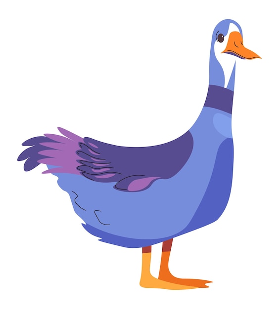 Duck farm or domestic animal duckling vector