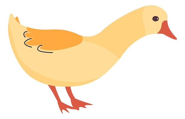 Duck or goose farm or domestic animals vector