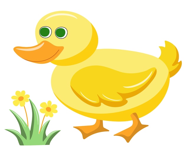 Duck and grass with flower on white background Farm animals