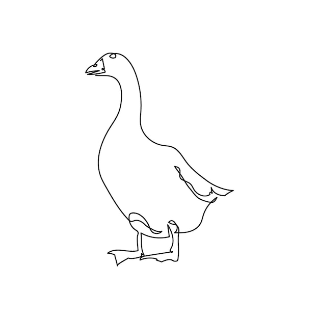 Duck one line art. Continuous line drawing of poultry, domestic animal.