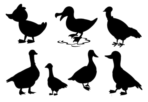 The duck set isolated Vector Silhouettes