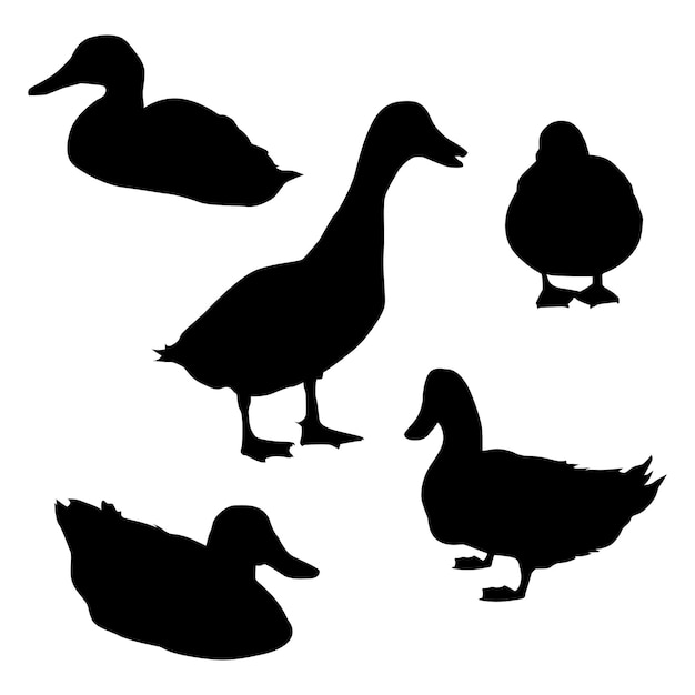 Duck silhouette illustration collection