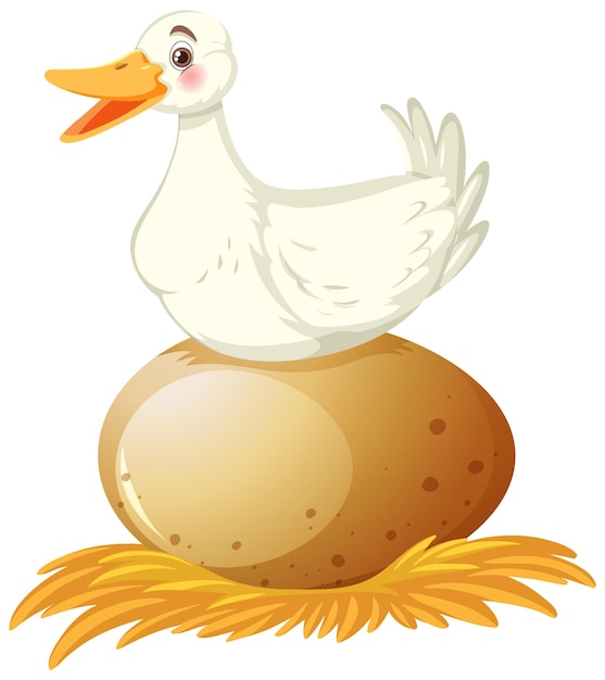 A duck sitting on egg cartoon