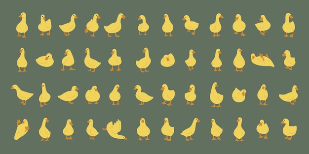 duck yellow collection 1