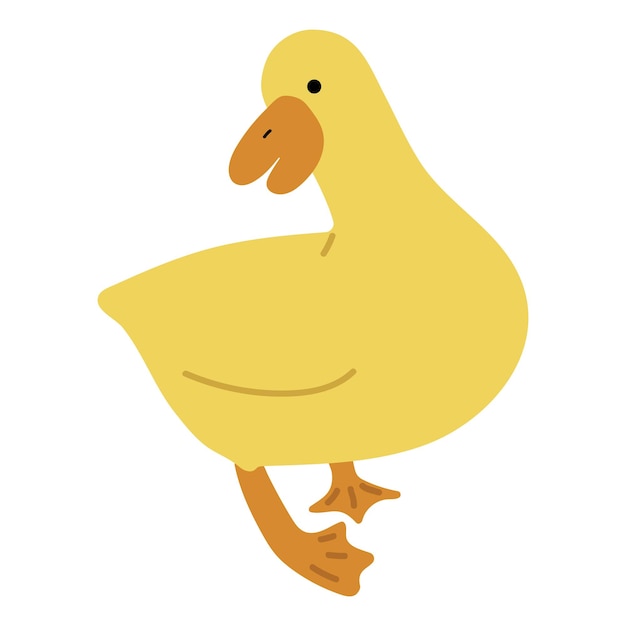 Duck Yellow Single 11