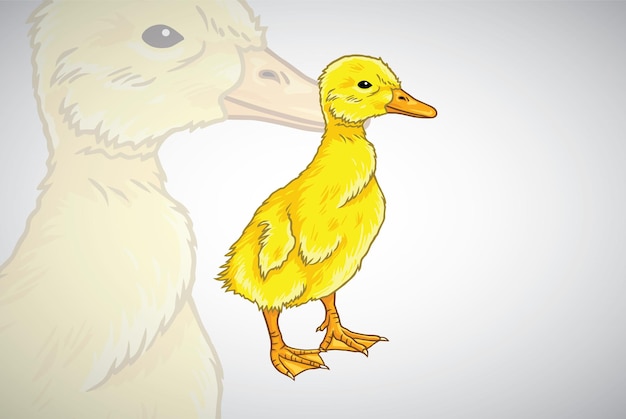 Duckling Cute Little Duck Cartoon Vector Drawing Illustration