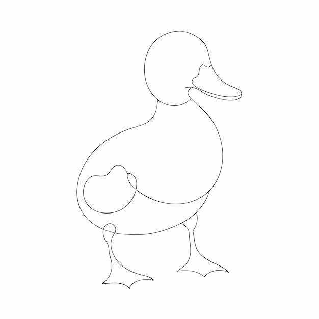 Vector duckling drawing by continuous line art isolated white background 28