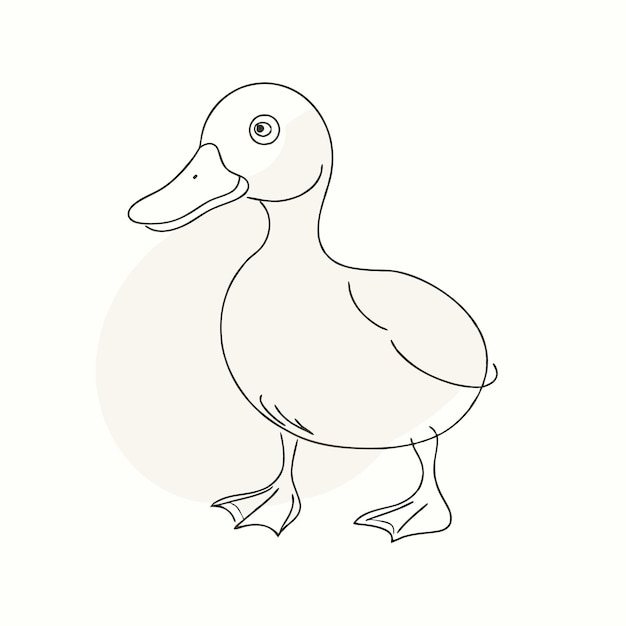 Vector duckling drawing by continuous line art isolated white background 4