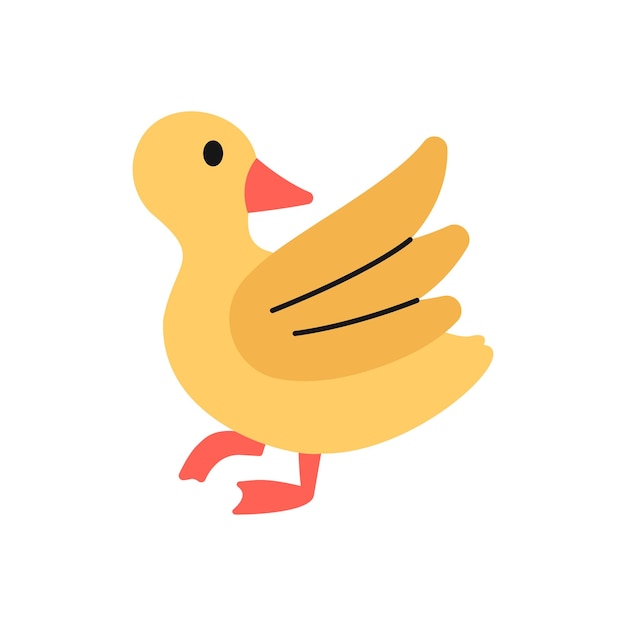 Duckling Illustration