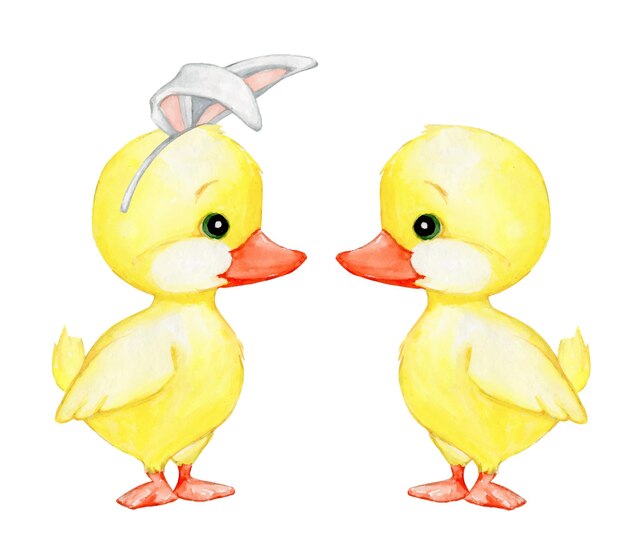 Vector ducklings, yellow, with rabbit ears on their heads.  watercolor animals, cartoon style.