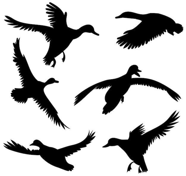 Ducks silhouette set on white background vector