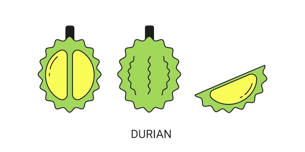 Durian Exotic Fruit Icon Element for Web