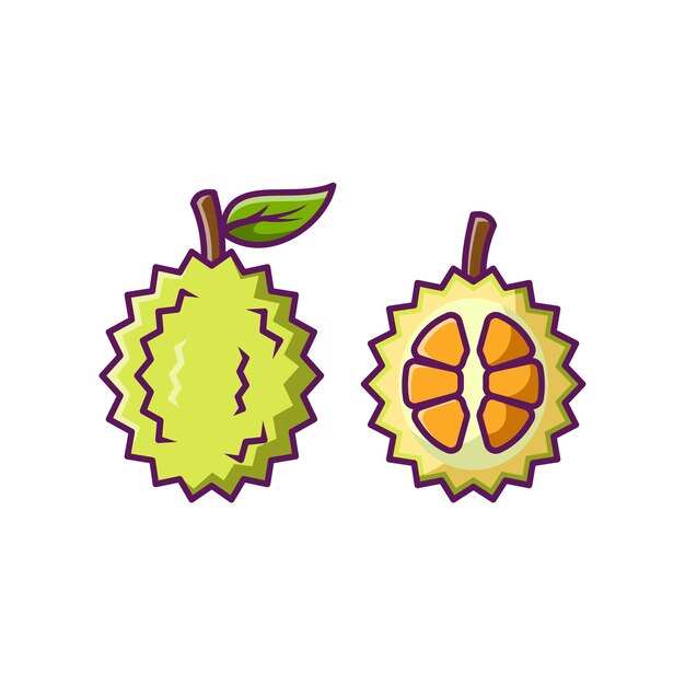 Durian Fruit Cartoon Vector Illustration Design Fruits Premium Illustration Isolated