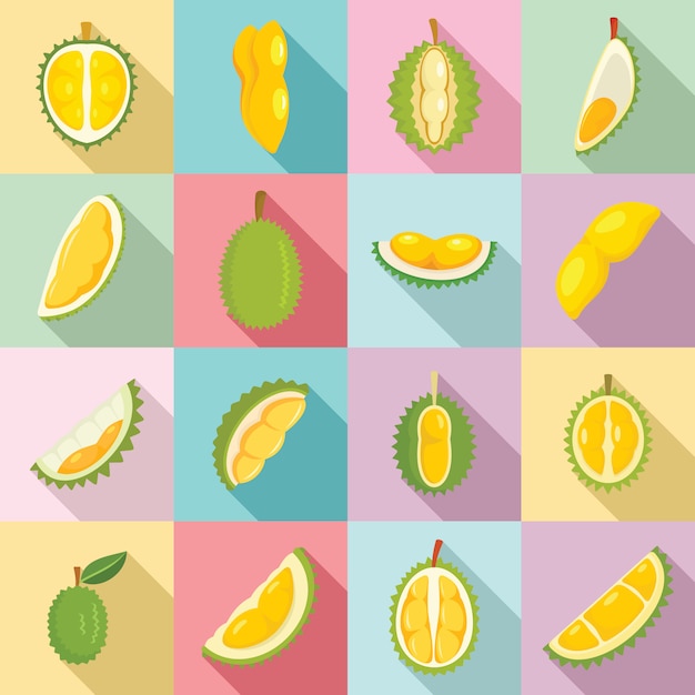 Durian icons set, flat style